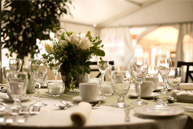 Ace Day Events can arrange the perfect event for you